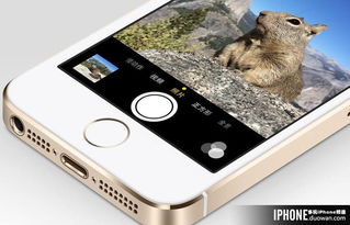 重慶企業(yè)進(jìn)行App軟件開發(fā)的費(fèi)用解析